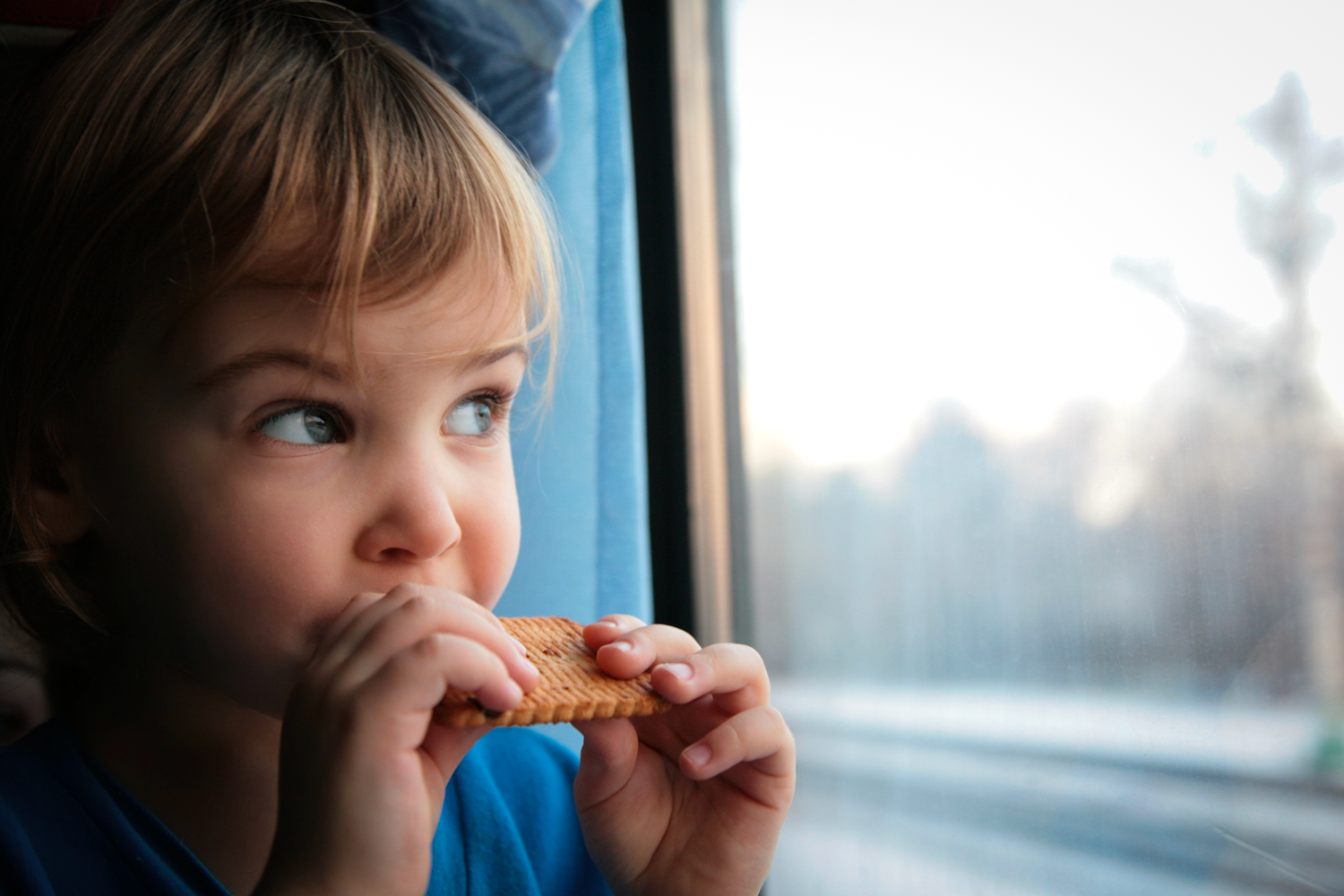 boy in the window